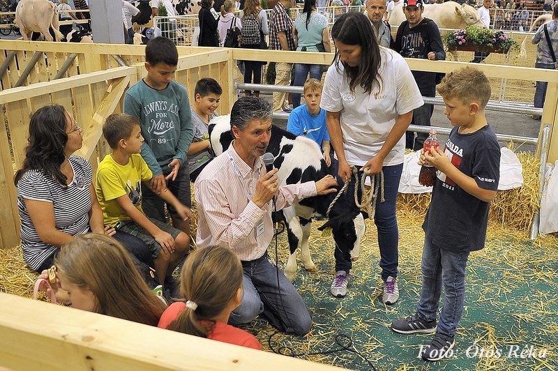 Tolna megye az OMÉK-on