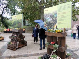 „Jobb egy olyan világban élni…”