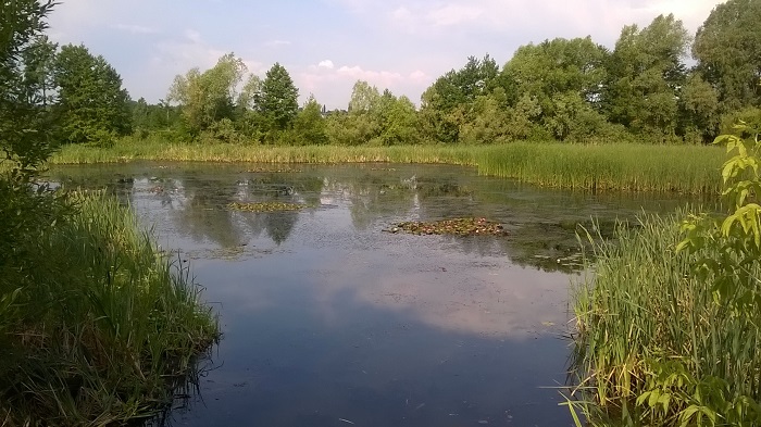 Közel 230 milliót fordítanak a vízelöntések megoldására Bonyhádon