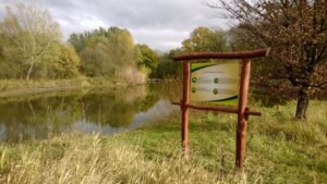 Kerékpárral, gyalog és lóháton – zöld út Tolnában